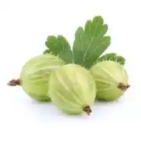 karviainen01
