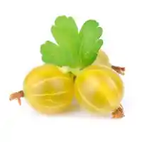 karviainen2